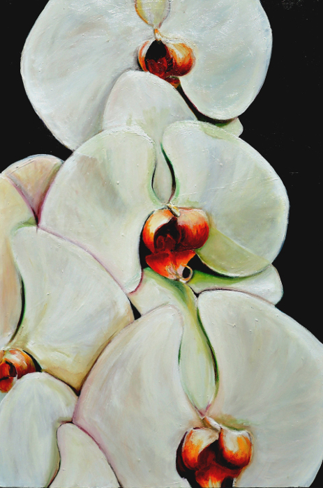 Orchidwhite.jpg
