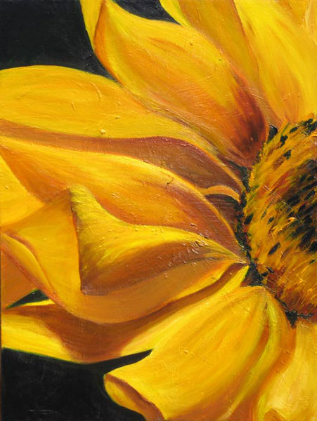 sunflower-2009-2.jpg